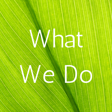 What We Do & Why
