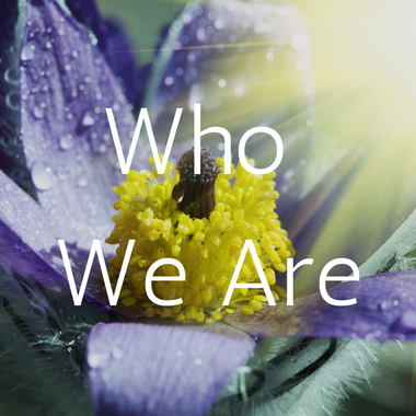 Who We Are